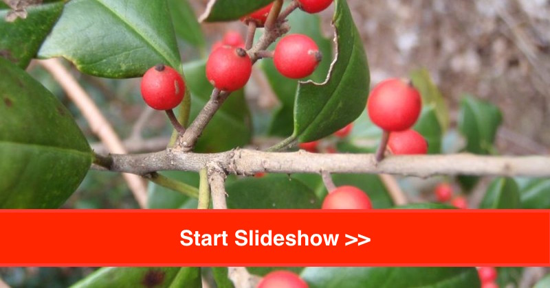 featureSlide.800x420-1447896762